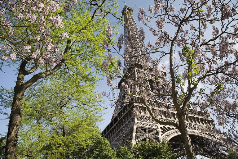 The Eiffel Tower in spring, Paris. Photo: Wikimedia Commons, CC BY-SA 3.0
